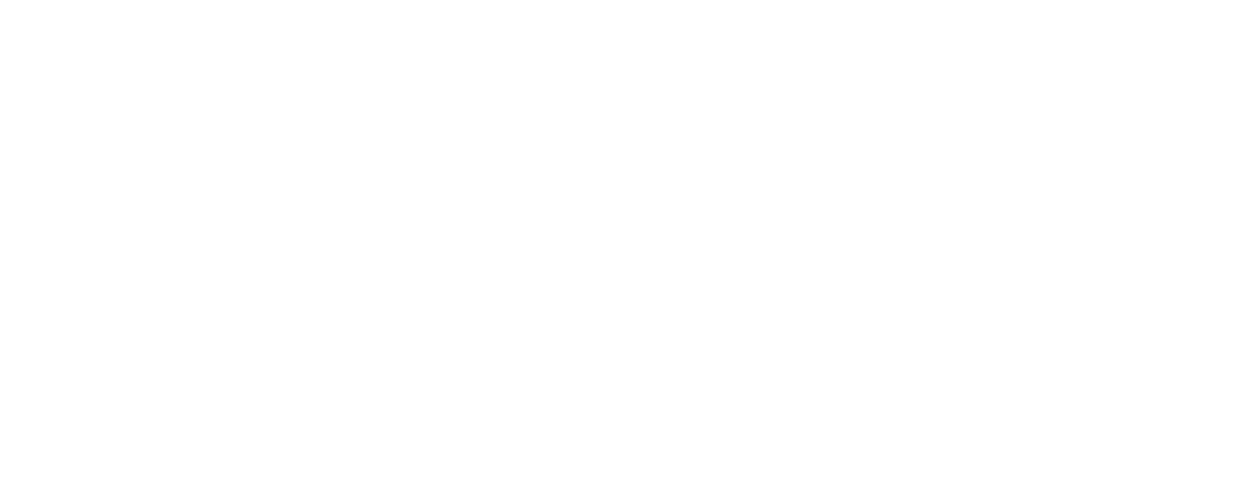 World Sleep Society Logo